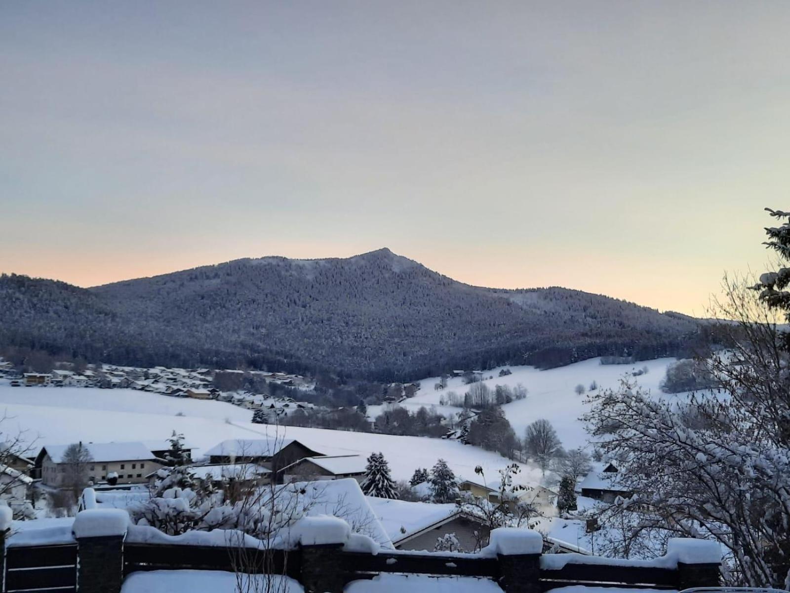 Ferienwohnung Bauer Lam Buitenkant foto